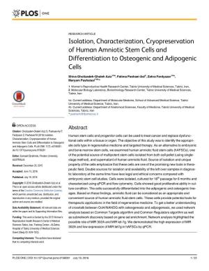 Isolation, Characterization, Cryopreservation of Human Amniotic Stem Cells and Differentiation to Osteogenic and Adipogenic Cells
