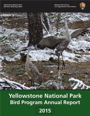 Yellowstone National Park Bird Program Annual Report 2015 Observing Birds at Promontory Point, Along the Southern Shore of Yellowstone Lake