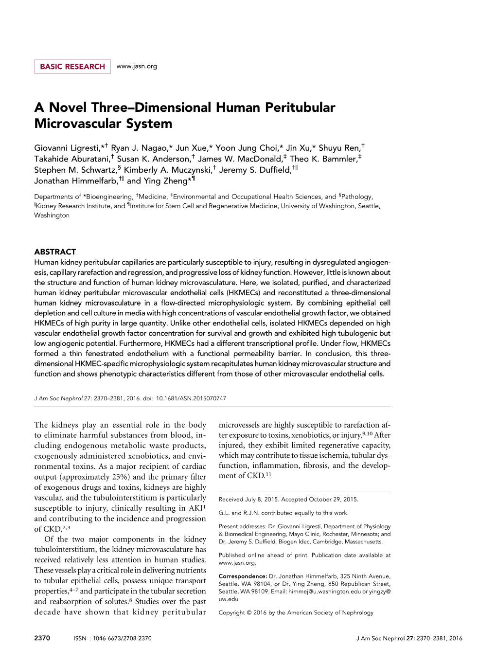 A Novel Three–Dimensional Human Peritubular Microvascular System