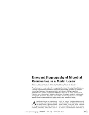 Emergent Biogeography of Microbial Communities in a Model Ocean