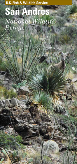 San Andres National Wildlife Refuge