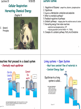 Cellular Respiration: Harvesting Chemical Energy