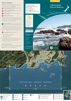 Taputeranga Marine Reserve Brochure And