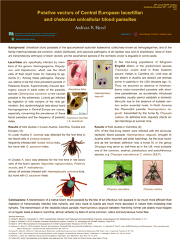 Putative Vectors of Central European Lacertilian and Chelonian Unicellular Blood Parasites