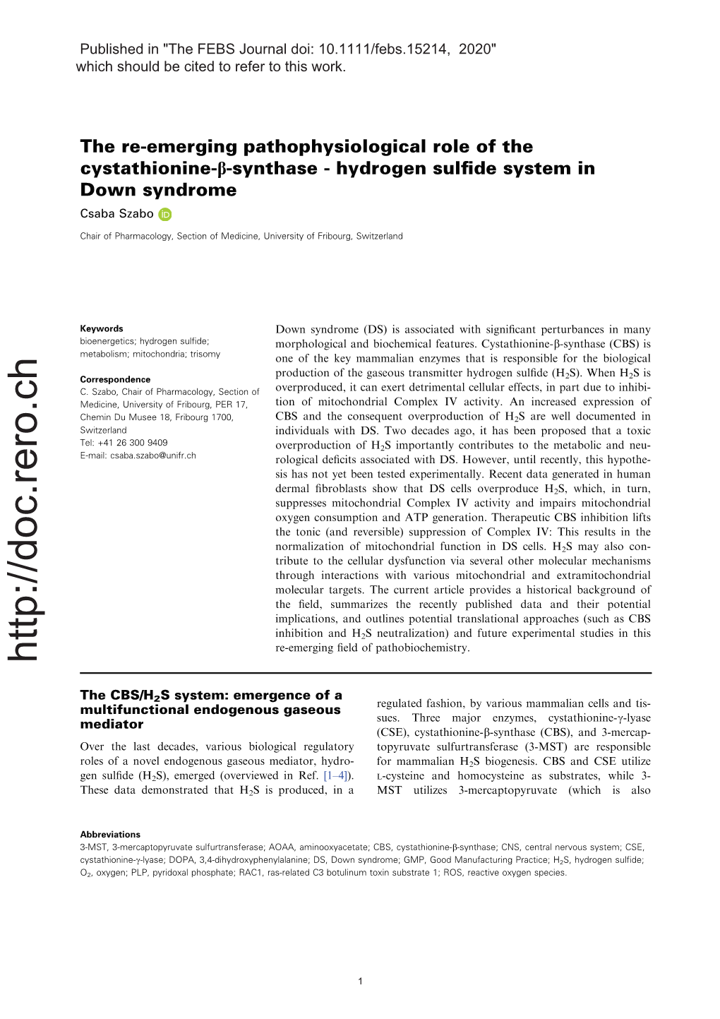 Hydrogen Sulfide System in Down Syndrome