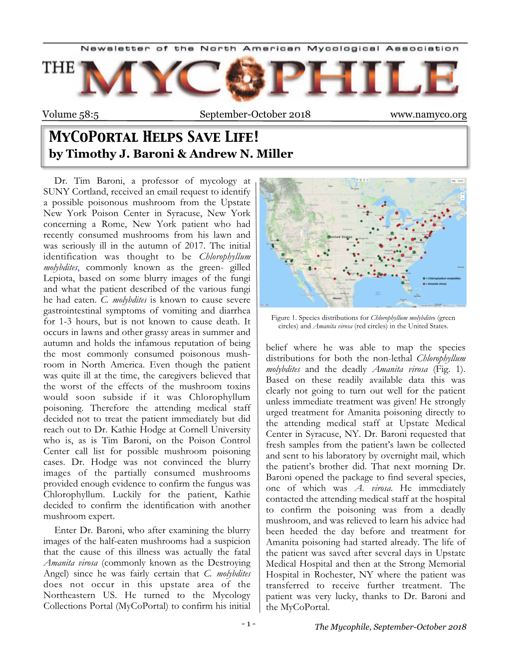 Mycophile 2018#5.Spub