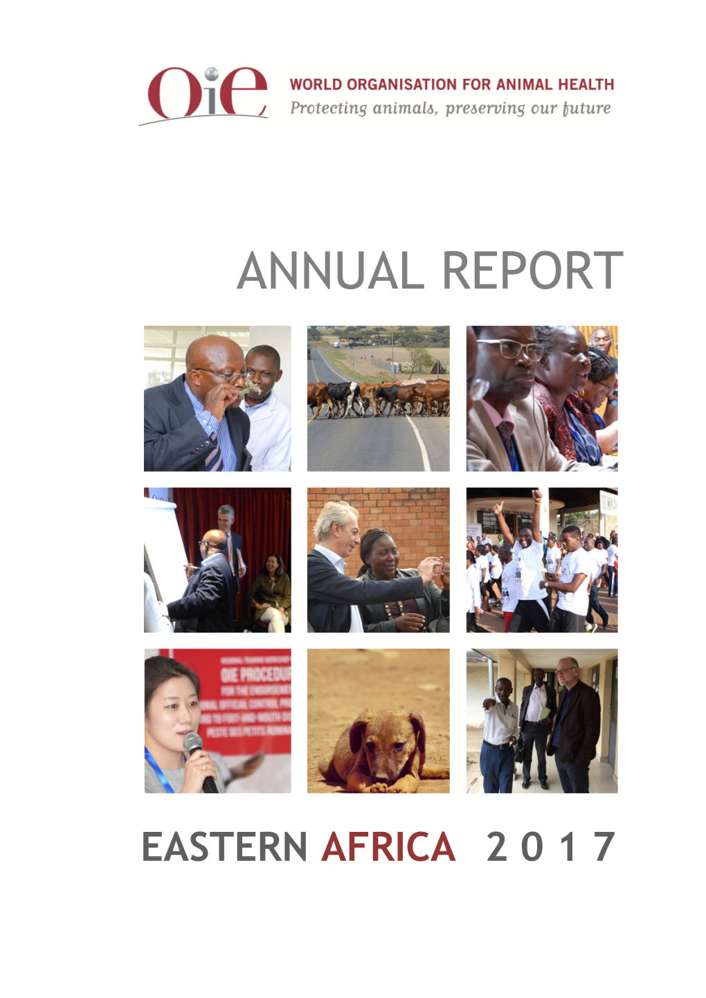 OIE SRR EA Annual Report 2017