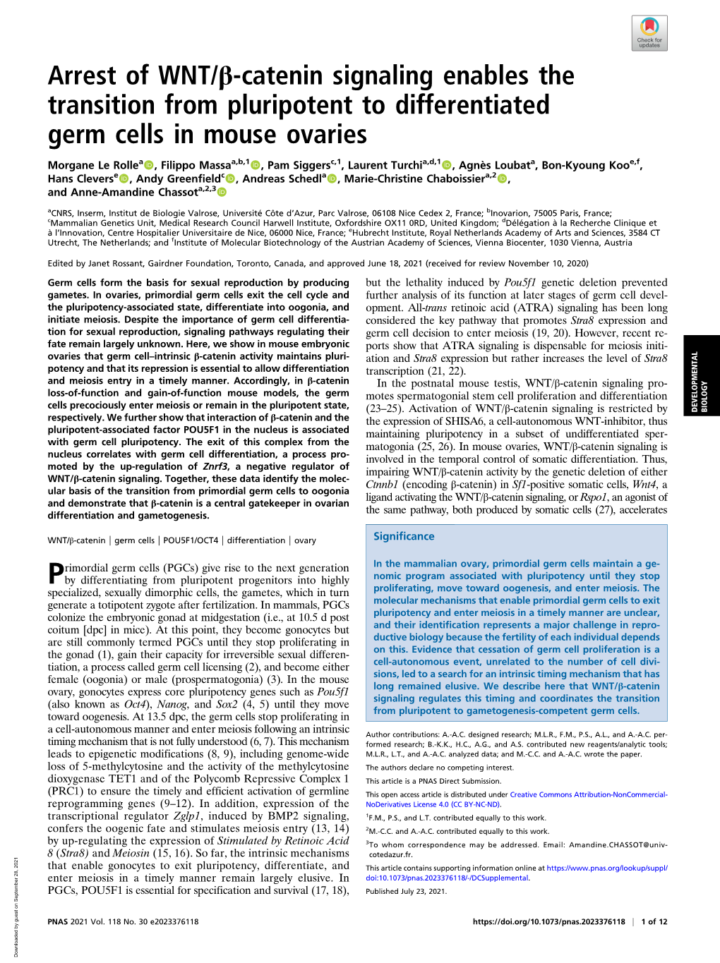 Arrest of WNT/Β-Catenin Signaling Enables the Transition from Pluripotent to Differentiated Germ Cells in Mouse Ovaries