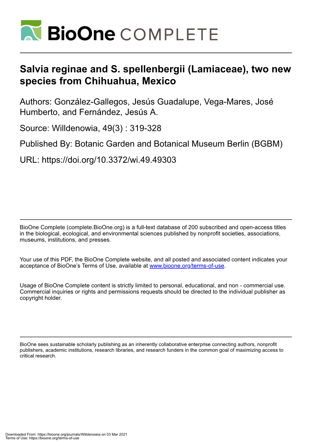 Salvia Reginae and S. Spellenbergii (Lamiaceae), Two New Species from Chihuahua, Mexico