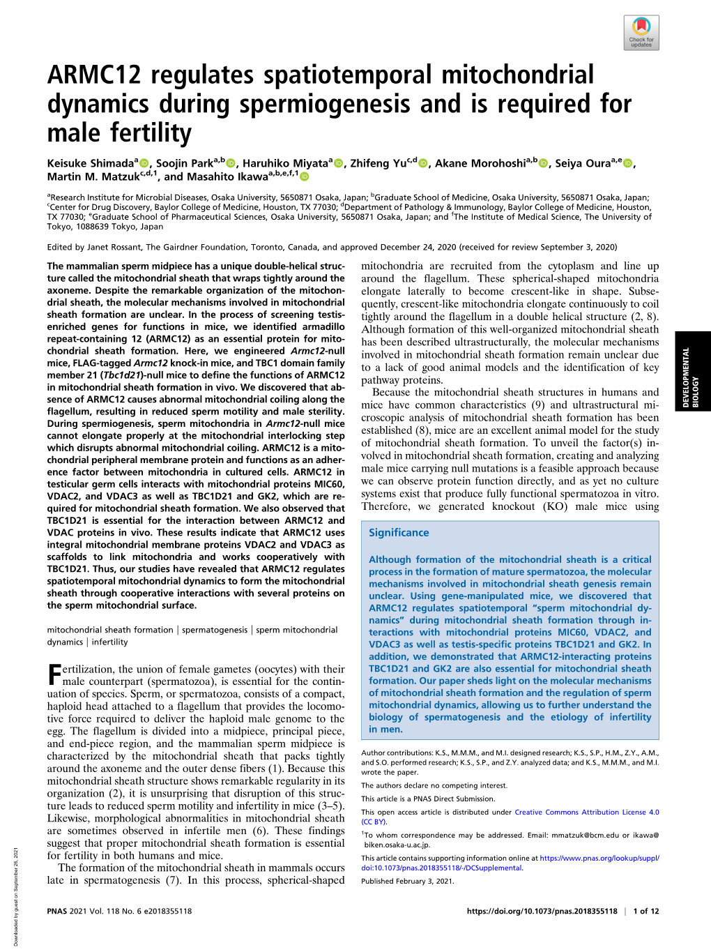 ARMC12 Regulates Spatiotemporal Mitochondrial Dynamics During Spermiogenesis and Is Required for Male Fertility