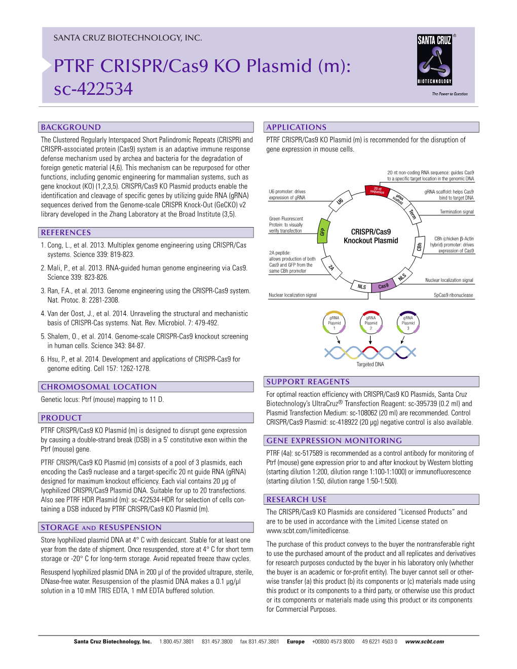 PTRF CRISPR/Cas9 KO Plasmid (M): Sc-422534