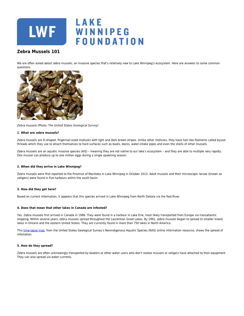 Zebra Mussels 101