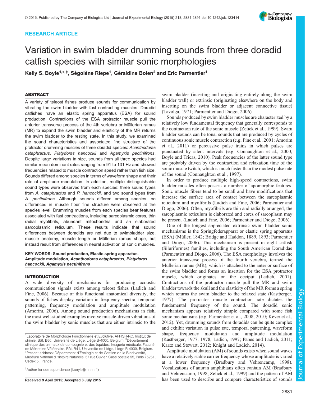 Variation in Swim Bladder Drumming Sounds from Three Doradid Catfish Species with Similar Sonic Morphologies Kelly S