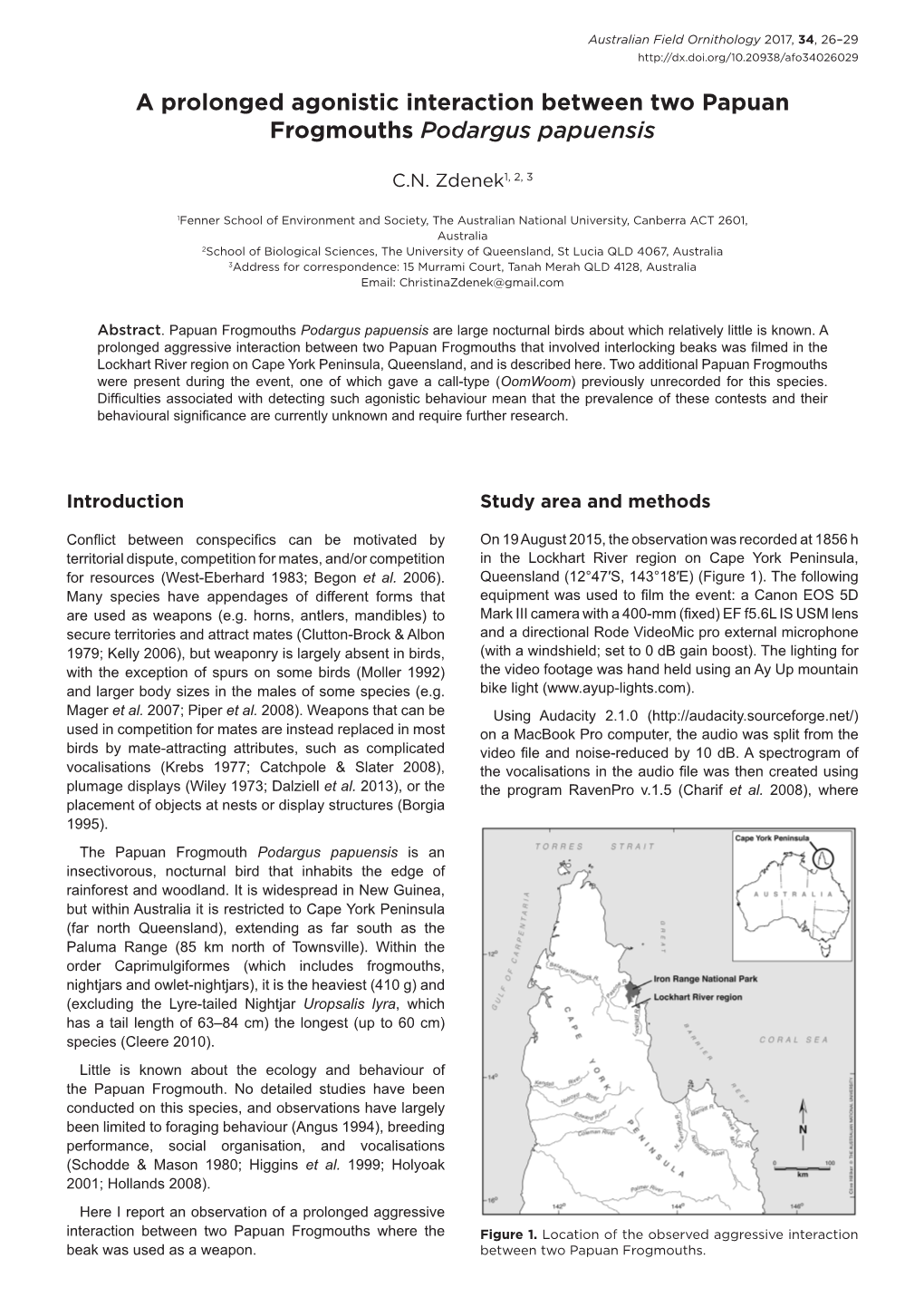 A Prolonged Agonistic Interaction Between Two Papuan Frogmouths Podargus Papuensis