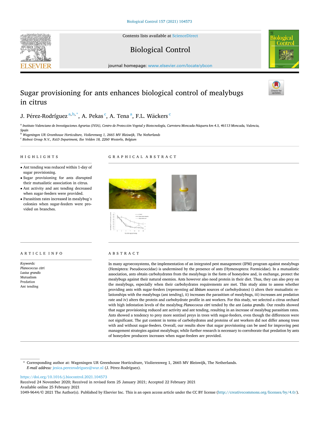 Sugar Provisioning for Ants Enhances Biological Control of Mealybugs in Citrus