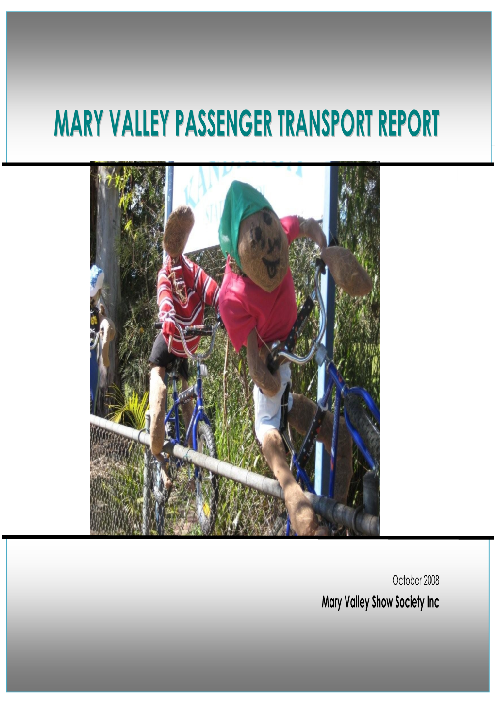 Mary Valley Passenger Transport Report