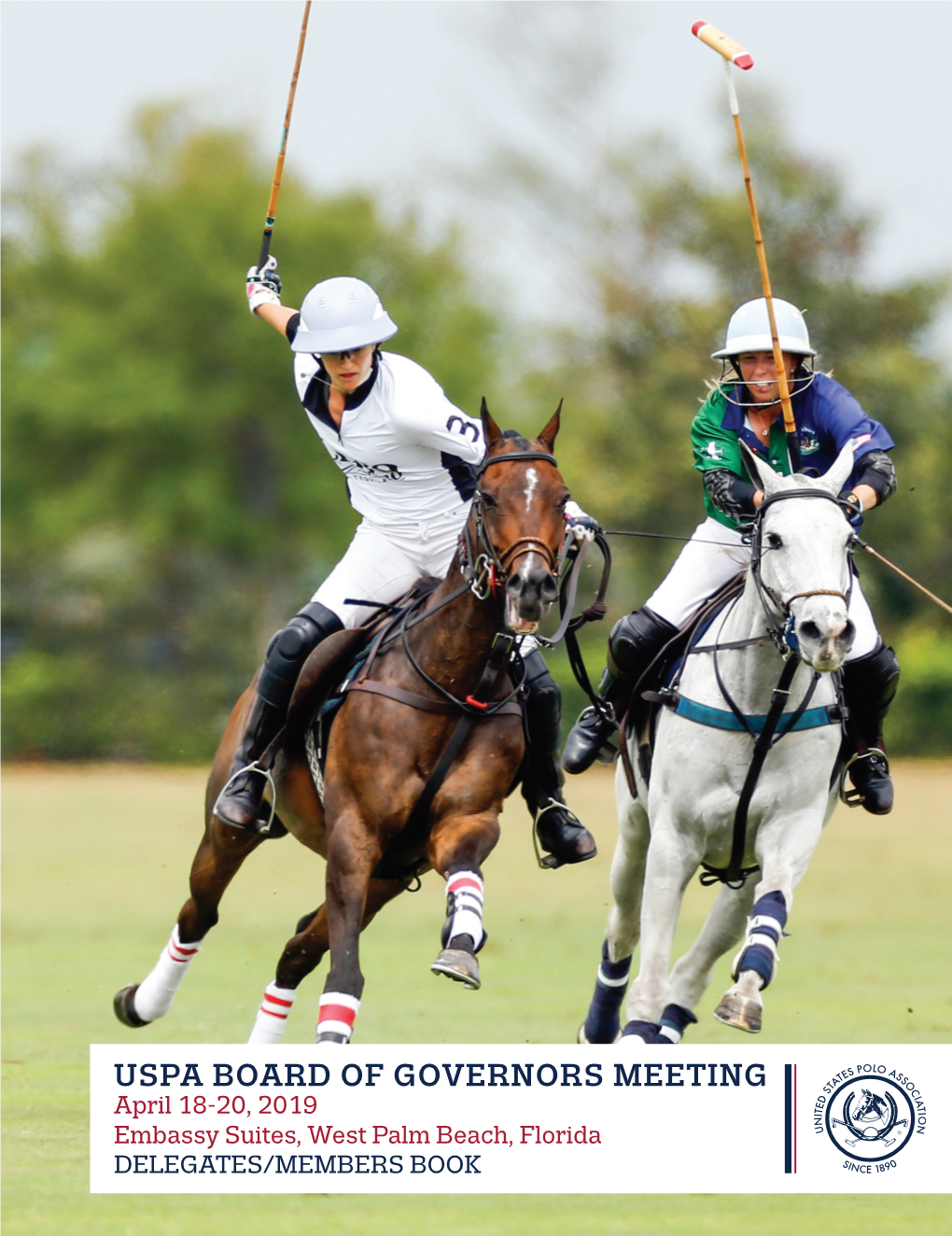 Uspa Board of Governors Meeting