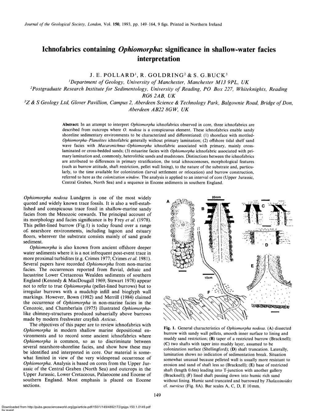 Ichnofabrics Containing Ophiomorpha: Significance in Shallow-Water Facies Interpretation