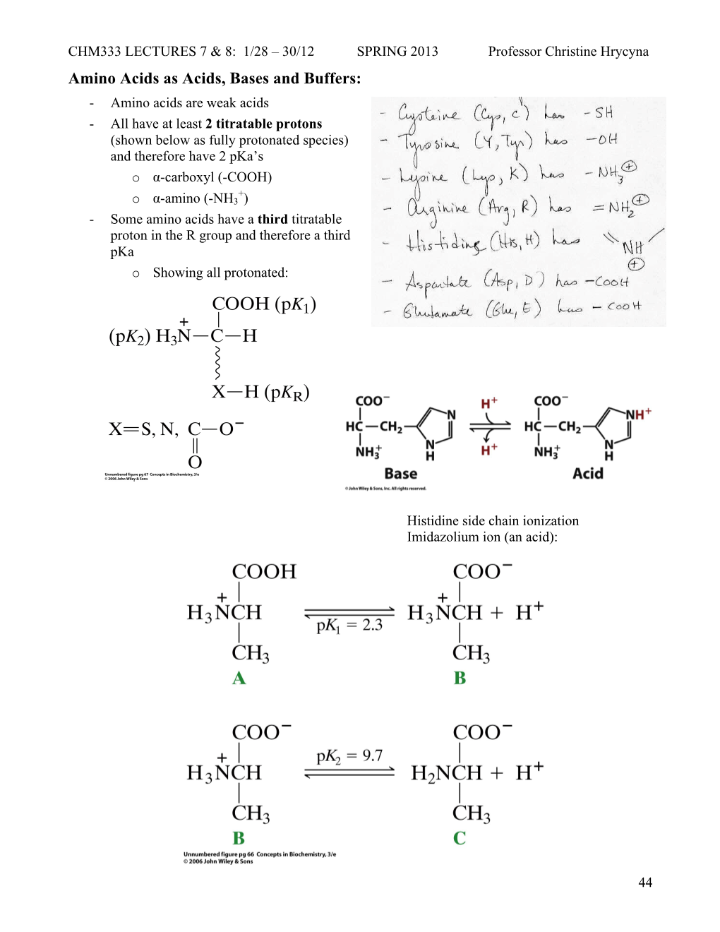 Amino Acids III and Peptides