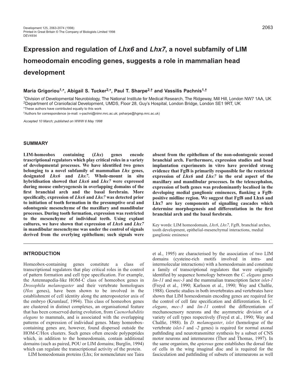 Expression and Regulation of Lhx6 and Lhx7, a Novel Subfamily of LIM Homeodomain Encoding Genes, Suggests a Role in Mammalian Head Development