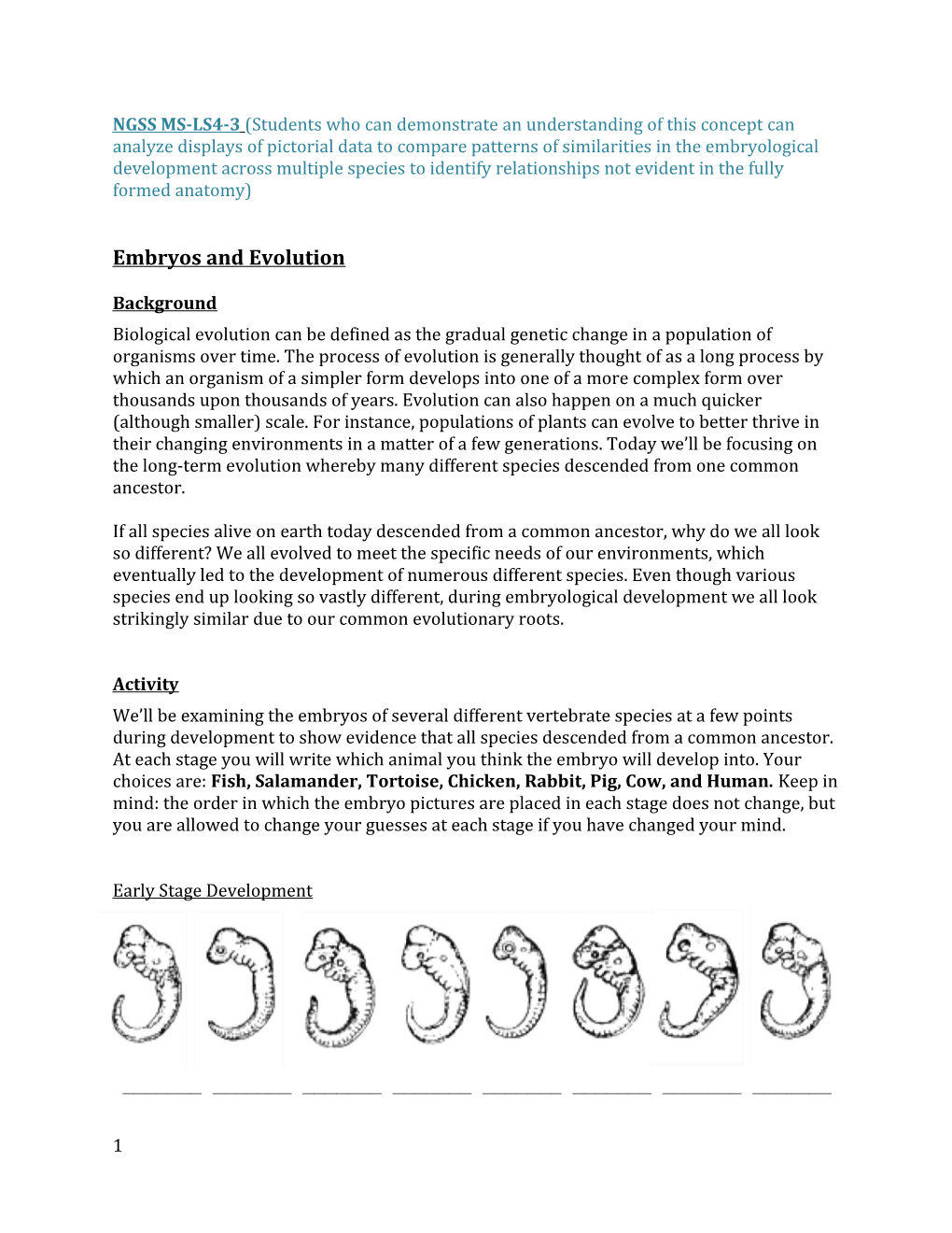 Embryos and Evolution