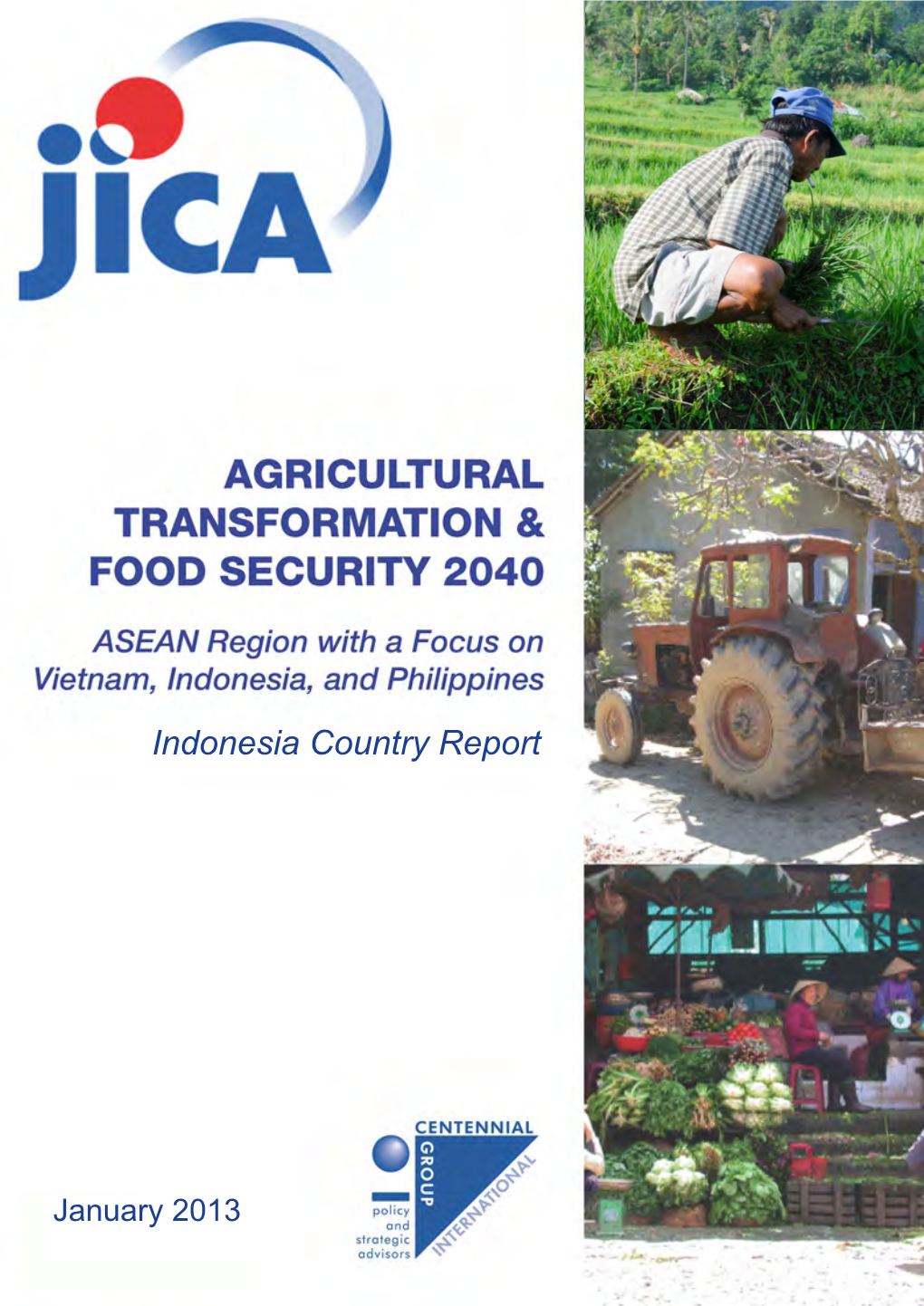 Indonesia Country Report