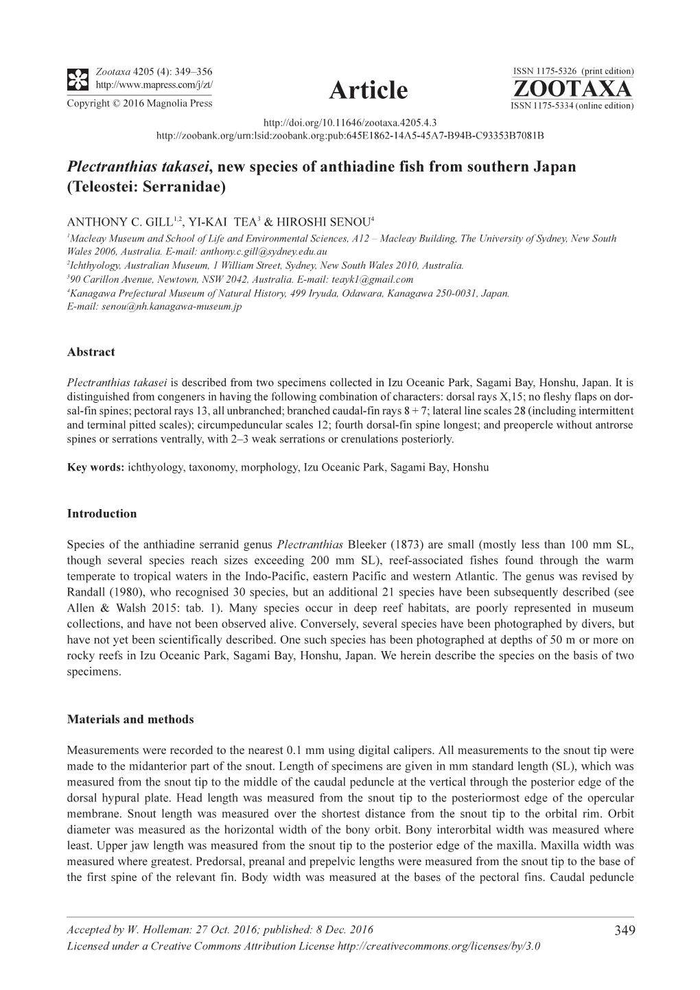 Plectranthias Takasei, New Species of Anthiadine Fish from Southern Japan (Teleostei: Serranidae)