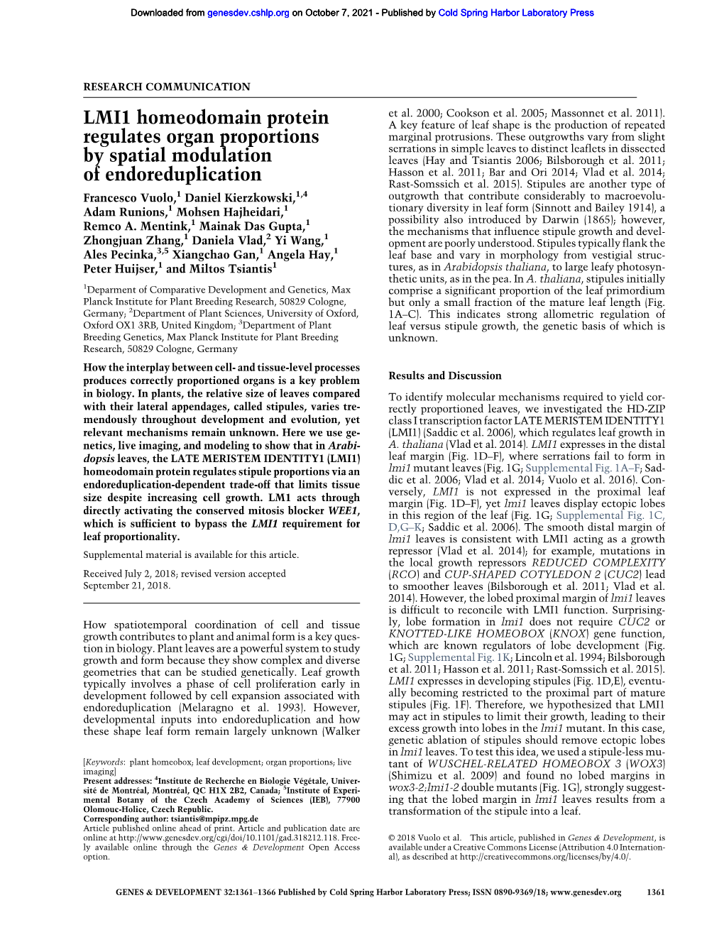 LMI1 Homeodomain Protein Regulates Organ Proportions by Spatial Modulation of Endoreduplication