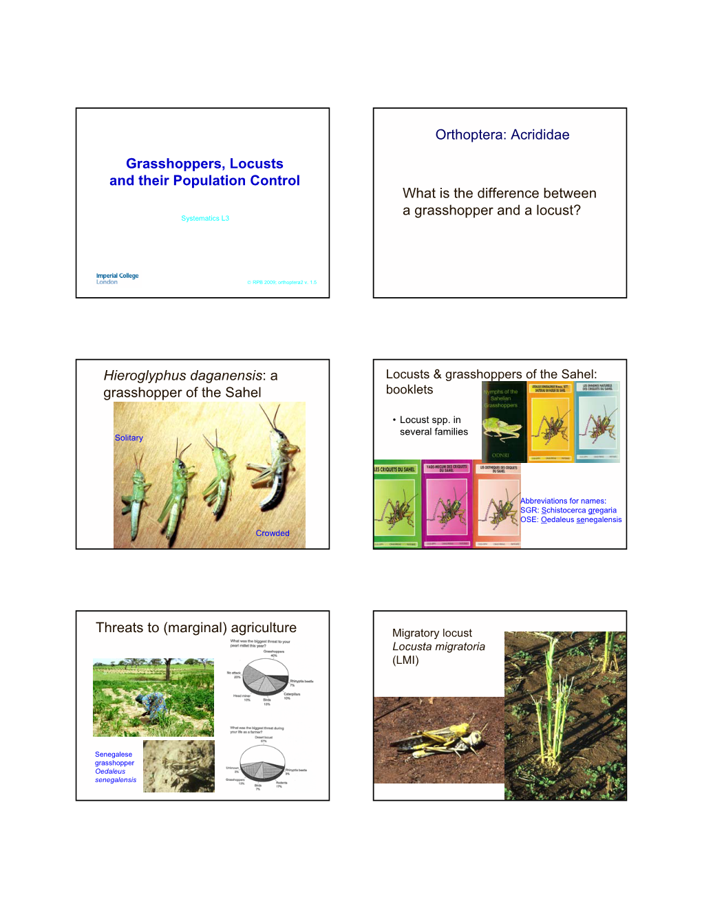 Grasshoppers, Locusts and Their Population Control What Is the Difference Between a Grasshopper and a Locust? Systematics L3