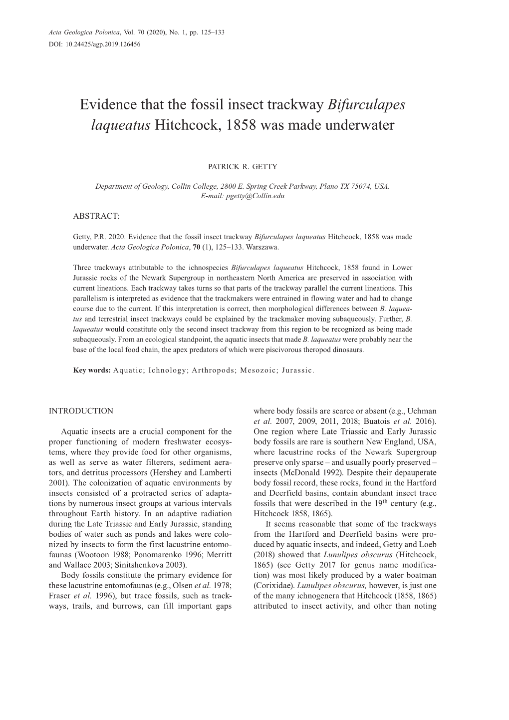 Evidence That the Fossil Insect Trackway Bifurculapes Laqueatus Hitchcock, 1858 Was Made Underwater