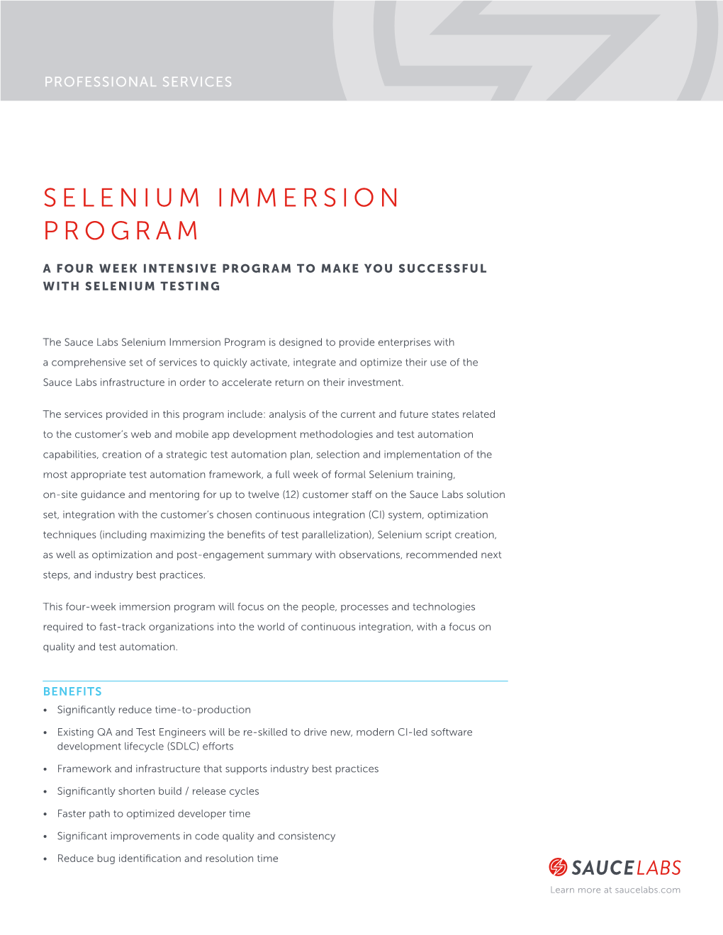 Selenium Immersion Program