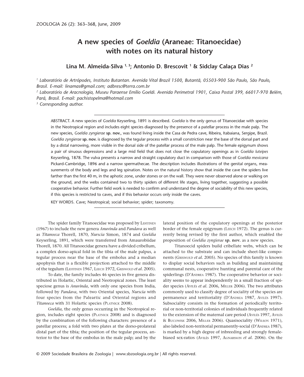 A New Species of Goeldia (Araneae: Titanoecidae) with Notes on Its Natural History