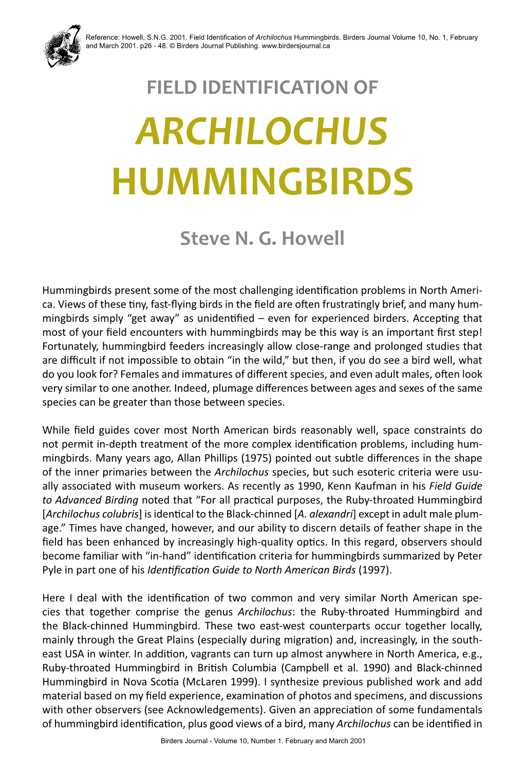 Field Identification of Archilochus Hummingbirds