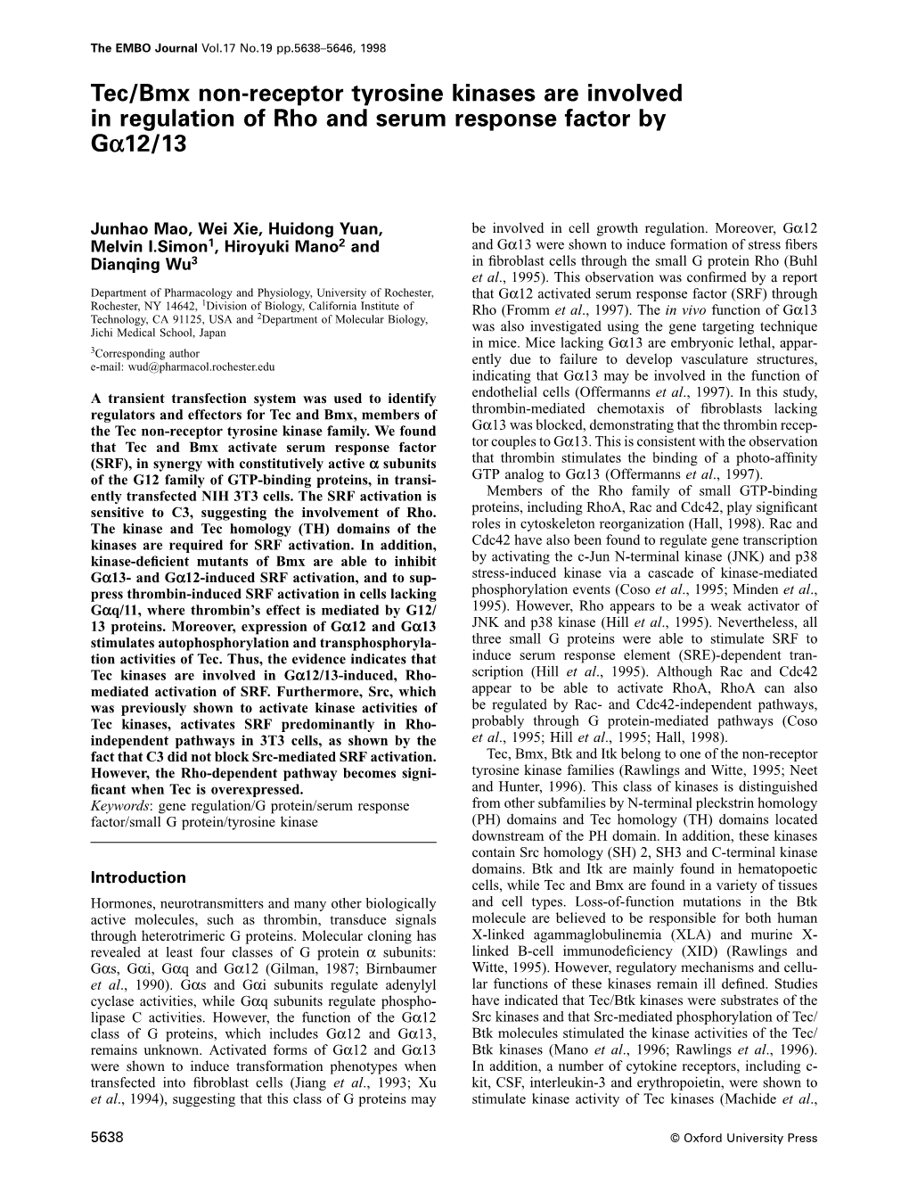 Tec/Bmx Nonreceptor Tyrosine Kinases Are Involved in Regulation of Rho