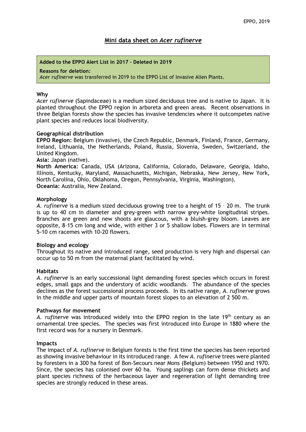 Mini Data Sheet on Acer Rufinerve