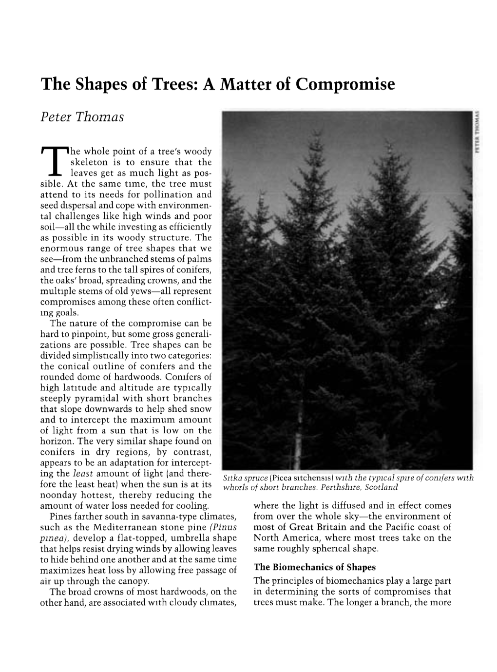 The Shapes of Trees: a Matter of Compromise