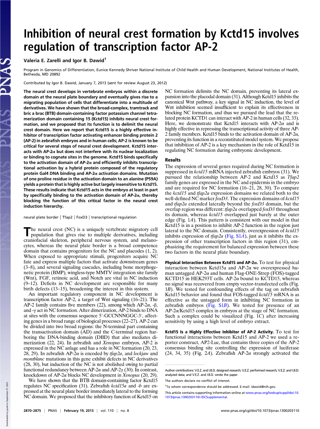 Inhibition of Neural Crest Formation by Kctd15 Involves Regulation of Transcription Factor AP-2