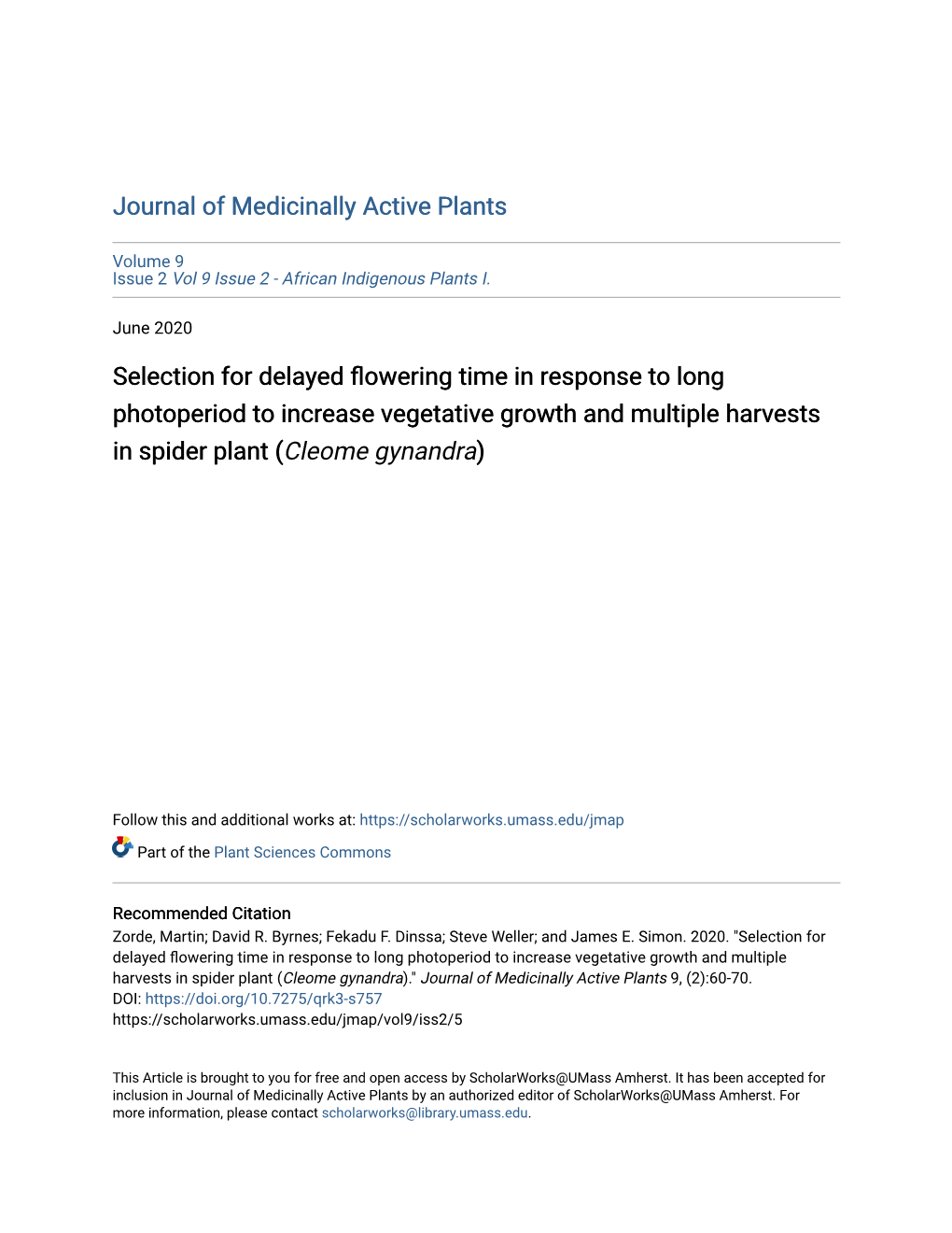 Selection for Delayed Flowering Time in Response to Long Photoperiod to Increase Vegetative Growth and Multiple Harvests in Spider Plant (Cleome Gynandra)