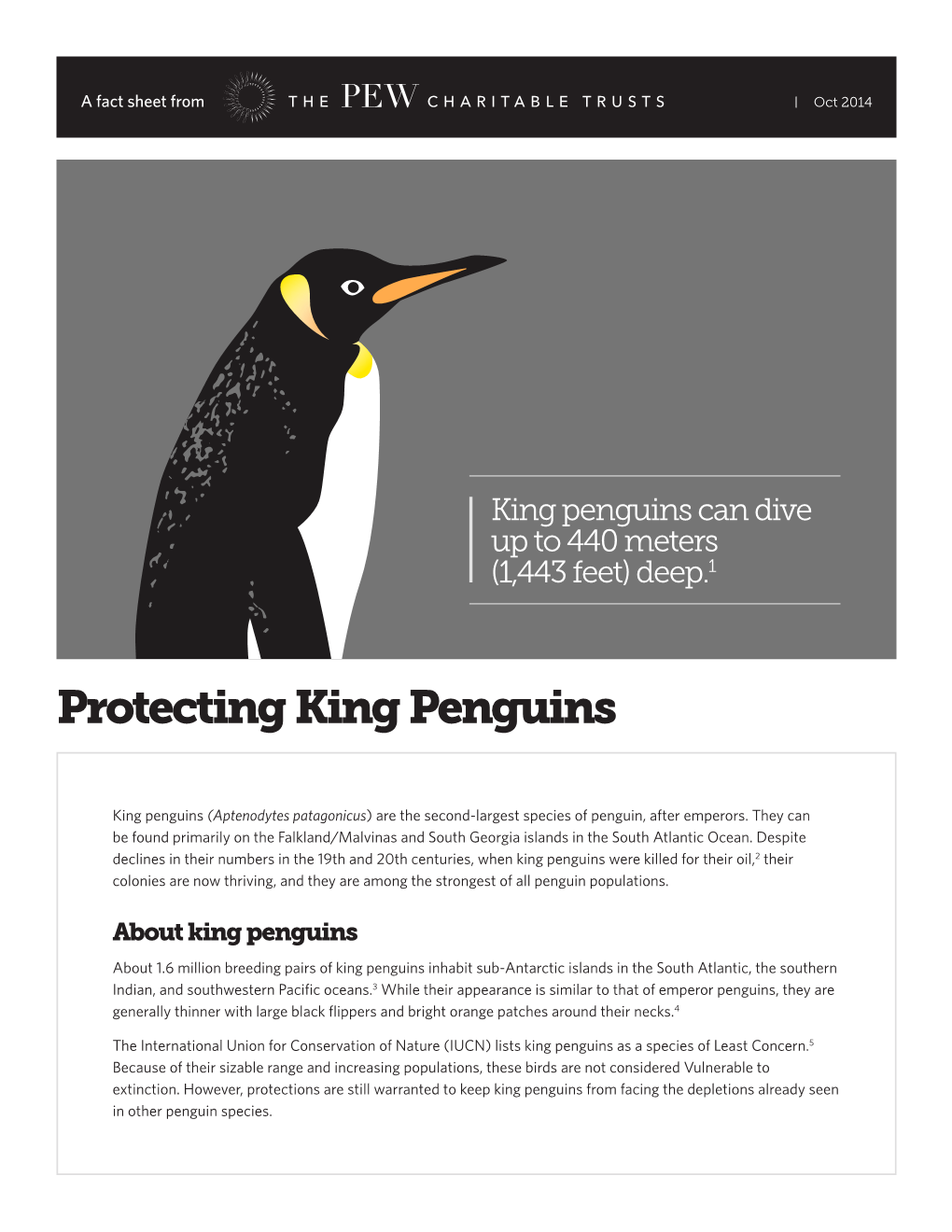 Protecting King Penguins Fact Sheet