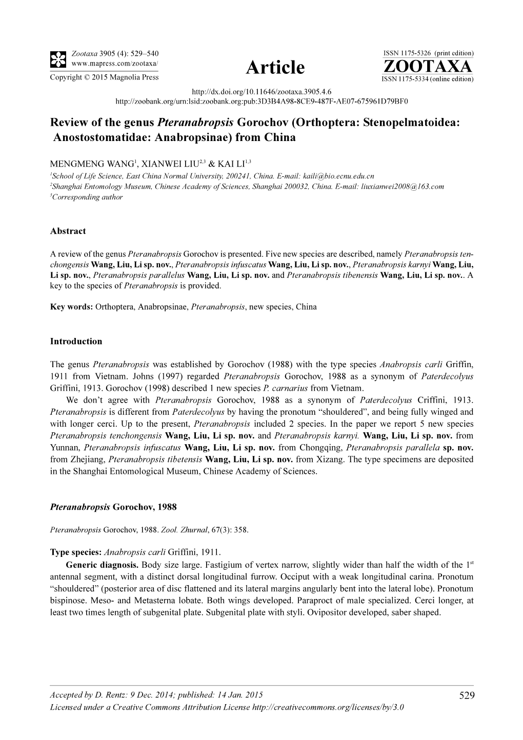 Orthoptera: Stenopelmatoidea: Anostostomatidae: Anabropsinae) from China