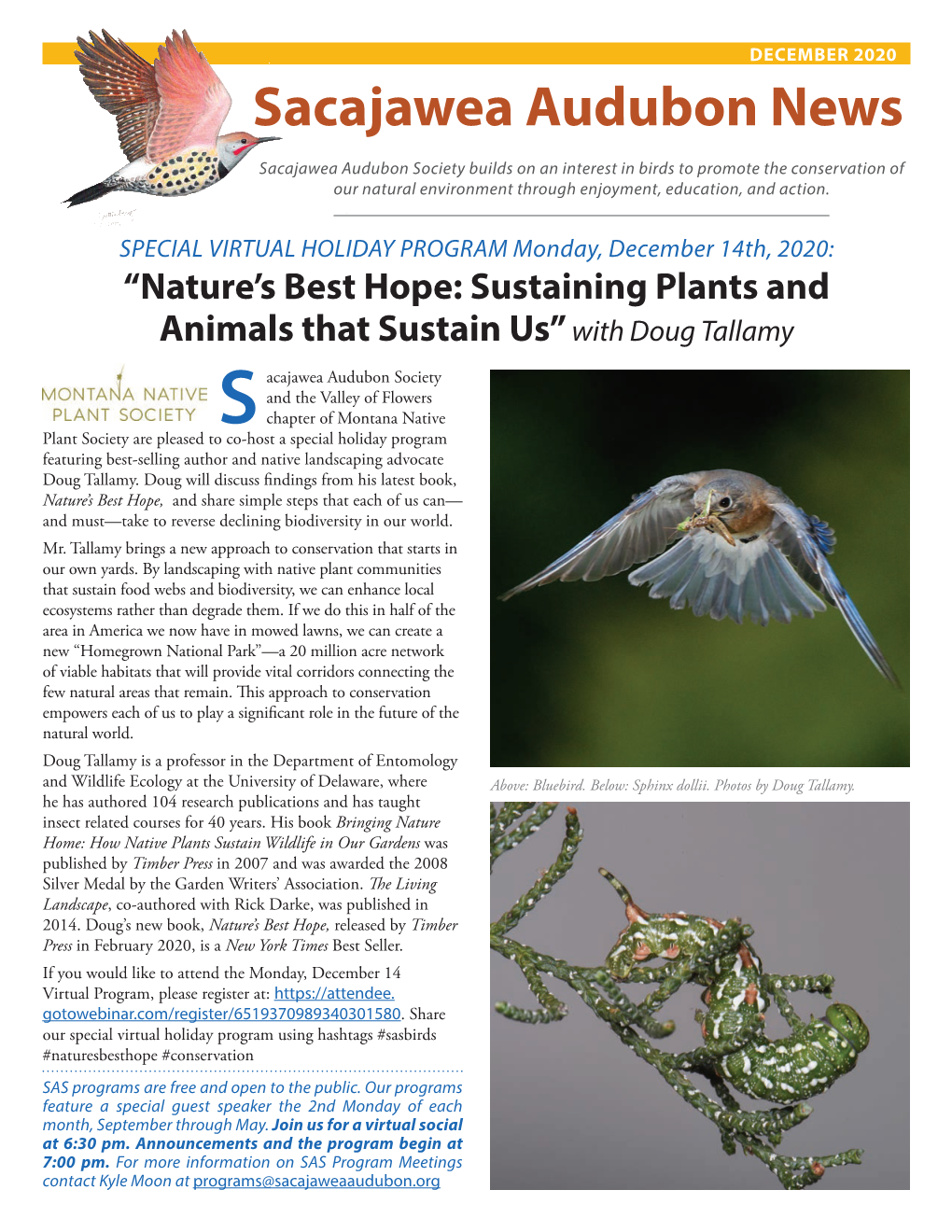 December 2020 Sacajawea Audubon News