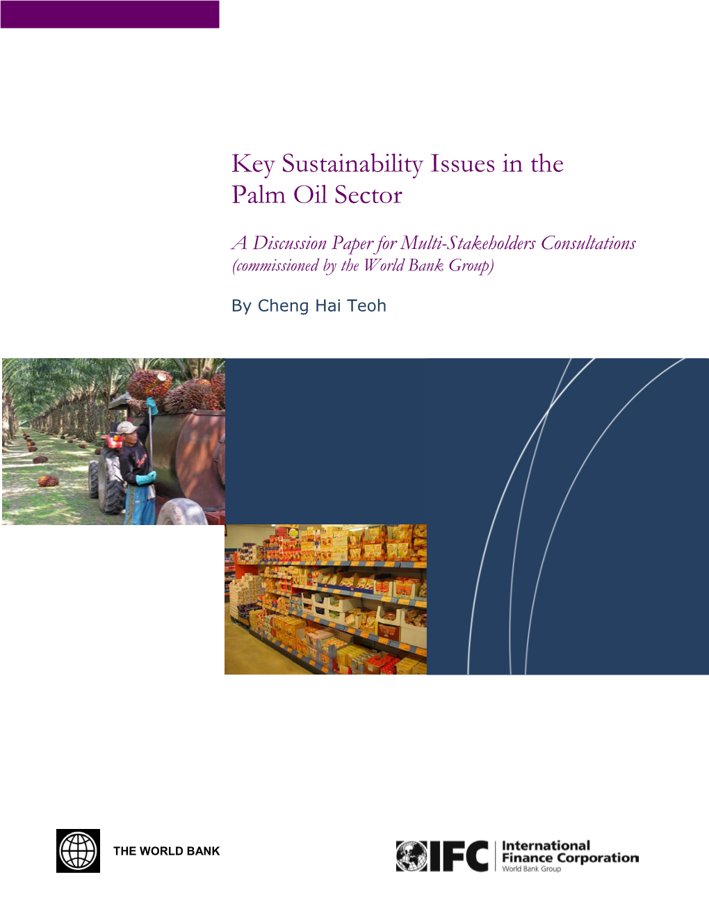 Key Sustainability Issues in the Palm Oil Sector