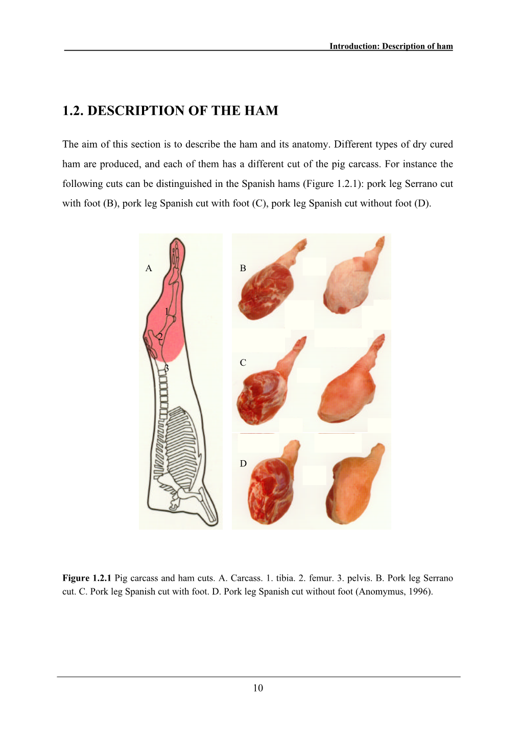 1.2. Description of the Ham