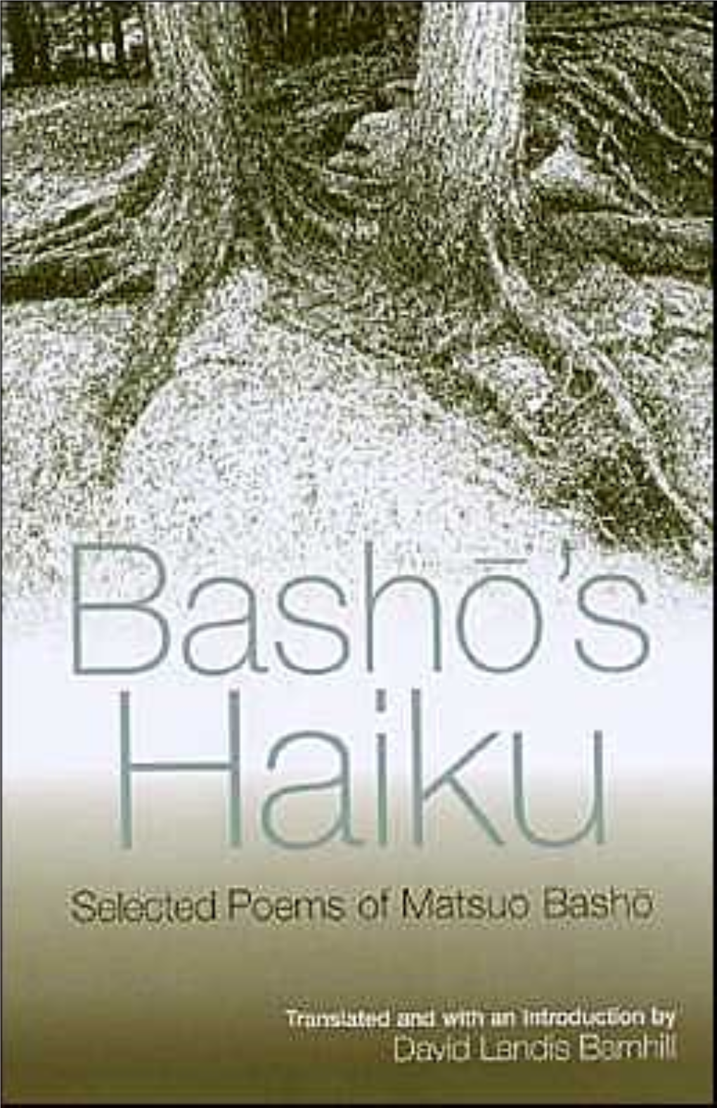 Basho's Haikus