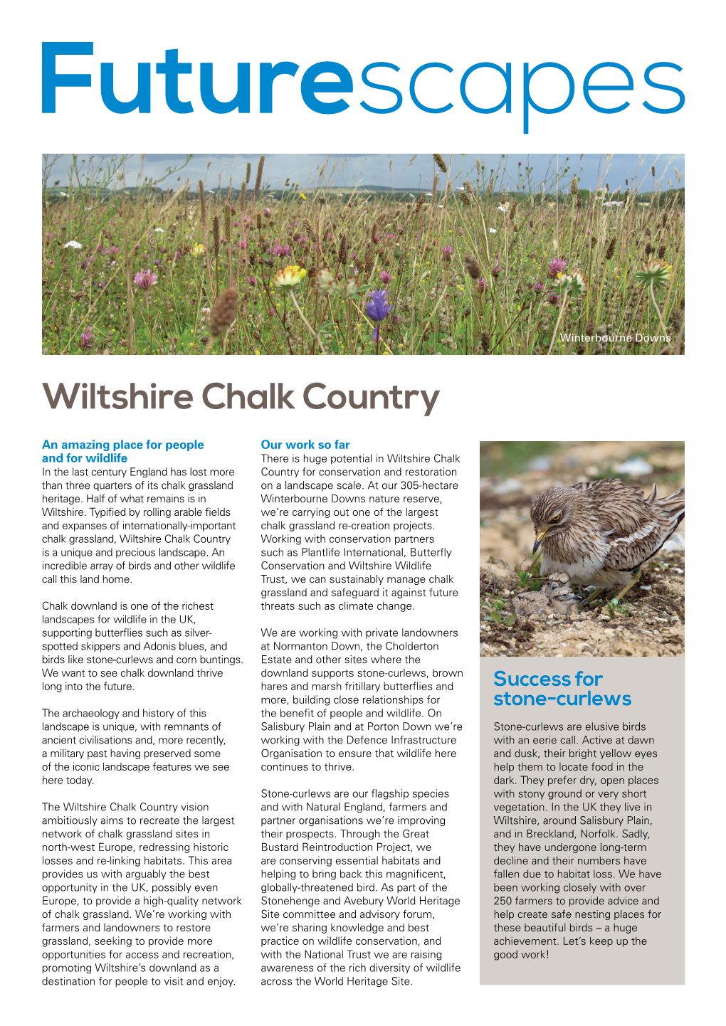 Wiltshire Chalk Country