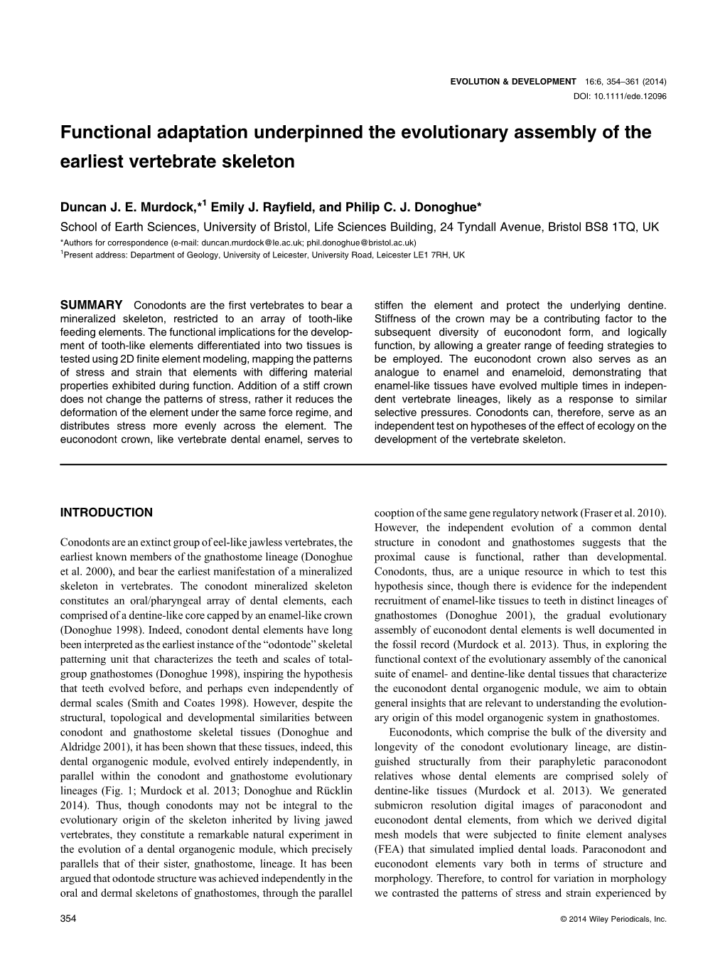 Functional Adaptation Underpinned the Evolutionary Assembly of the Earliest Vertebrate Skeleton