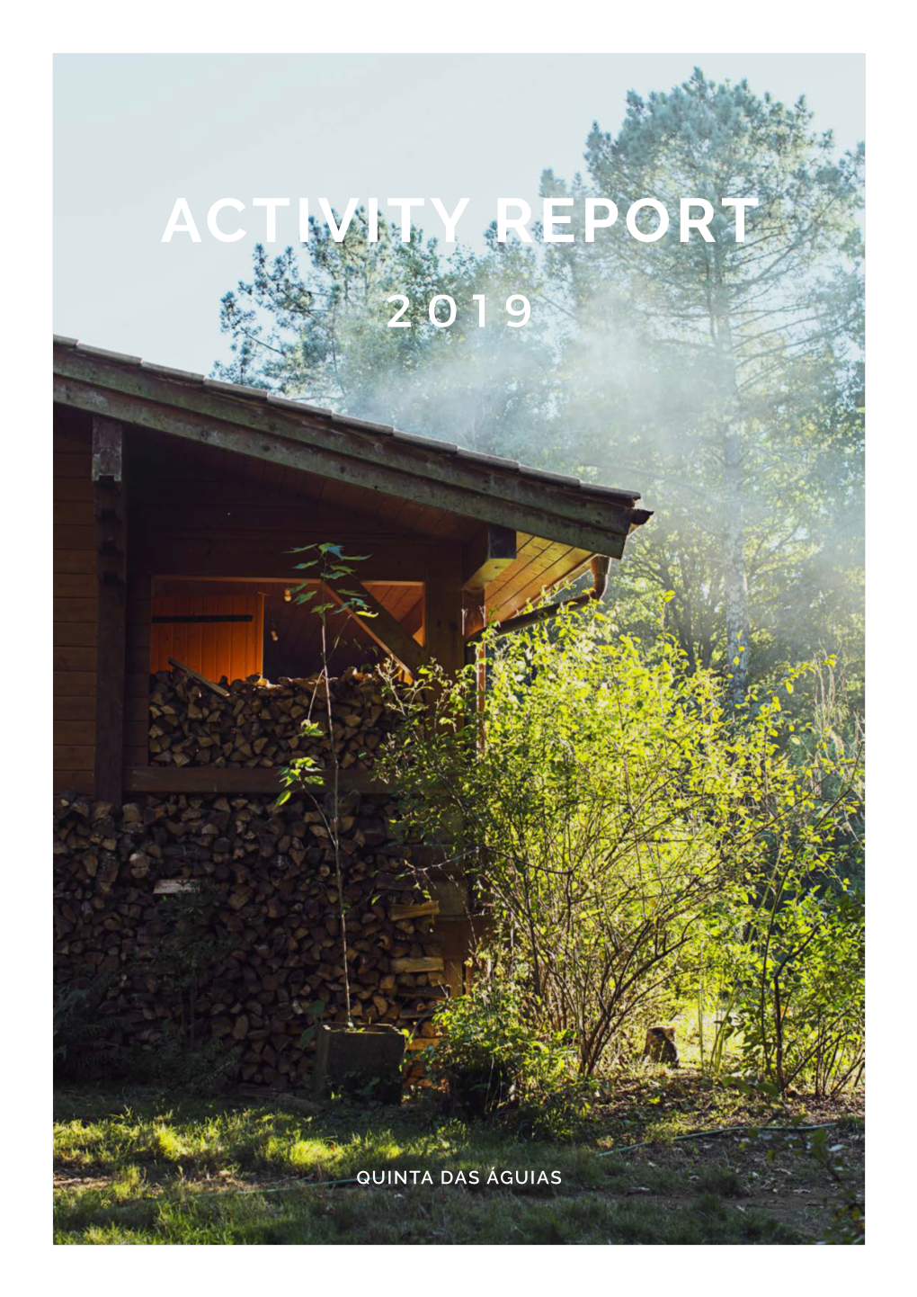 Activity Report 2 0 1 9