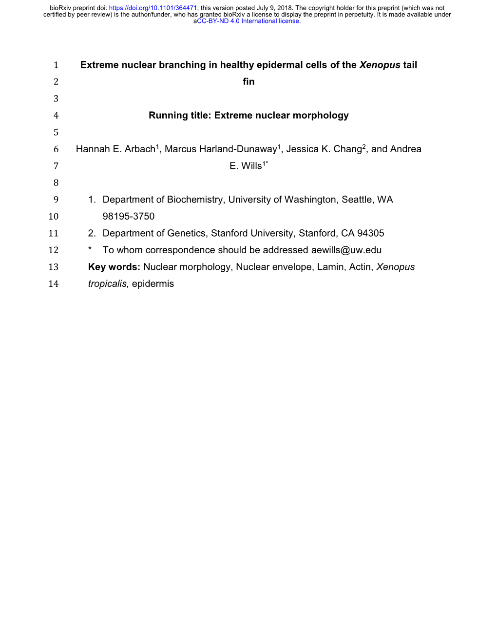Extreme Nuclear Branching in Healthy Epidermal Cells of the Xenopus Tail 2 Fin 3 4 Running Title: Extreme Nuclear Morphology 5 6 Hannah E
