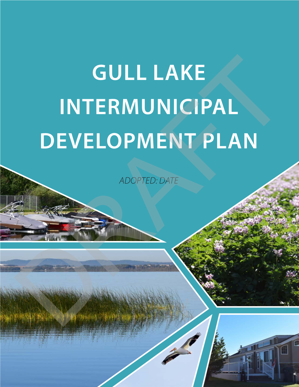 Gull Lake Intermunicipal Development Plan