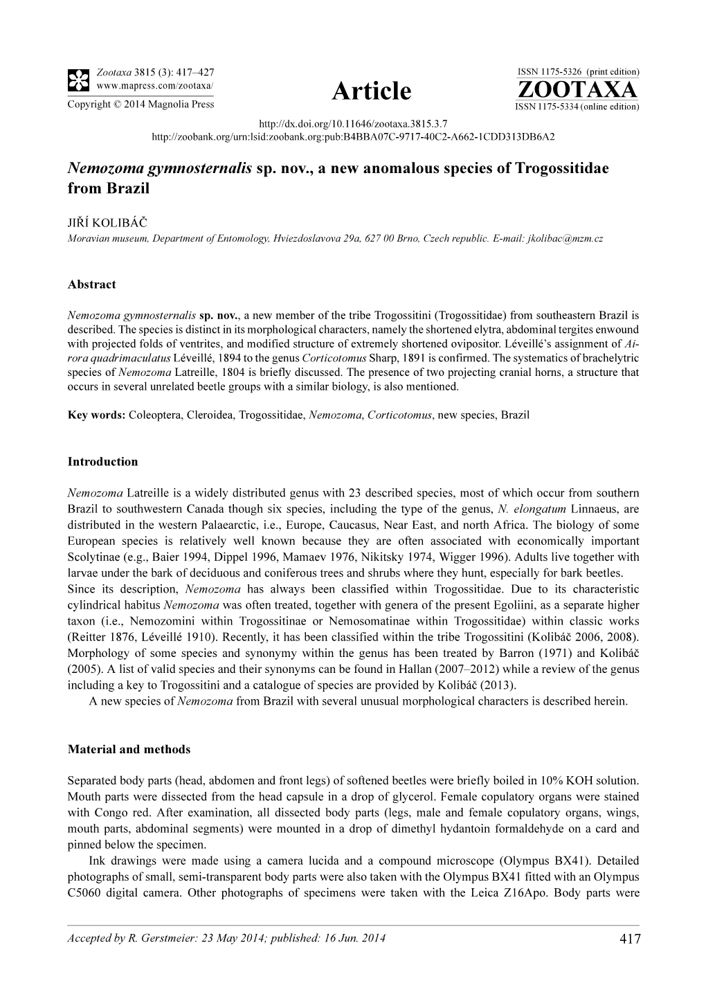 Nemozoma Gymnosternalis Sp. Nov., a New Anomalous Species of Trogossitidae from Brazil